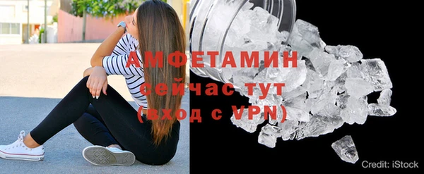 прущие грибы Новодвинск