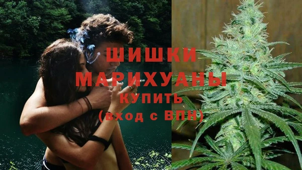 хмурый Няндома