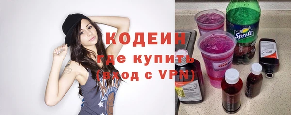 прущие грибы Новодвинск