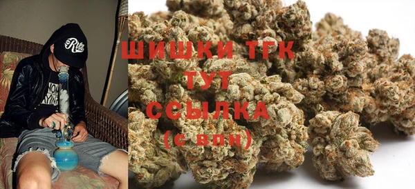 прущие грибы Новодвинск