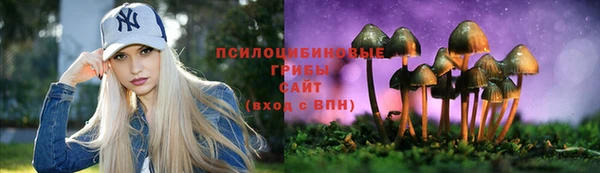 PSILOCYBIN Горно-Алтайск