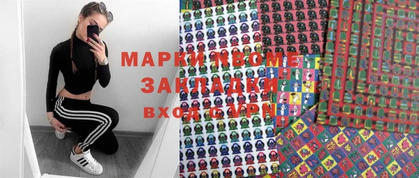 прущие грибы Новодвинск