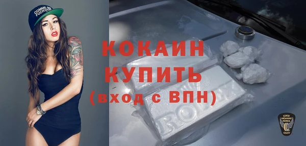 хмурый Няндома