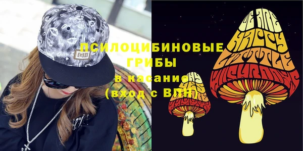 а пвп мука Новозыбков