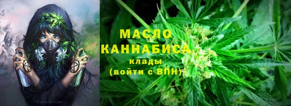 прущие грибы Новодвинск