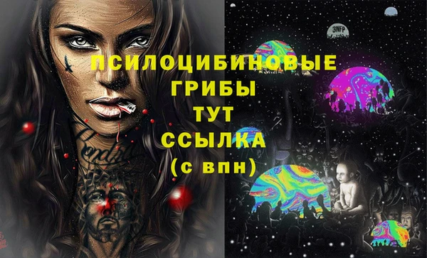 а пвп мука Новозыбков