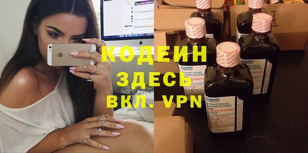 прущие грибы Новодвинск