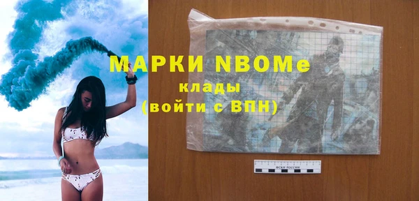 прущие грибы Новодвинск