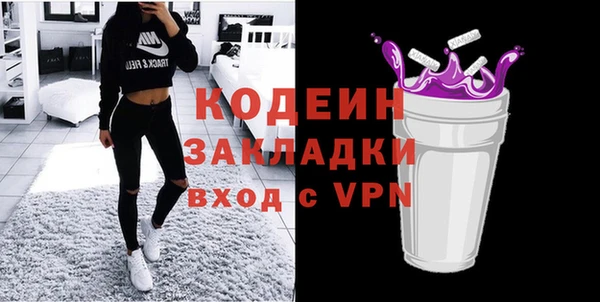 хмурый Няндома