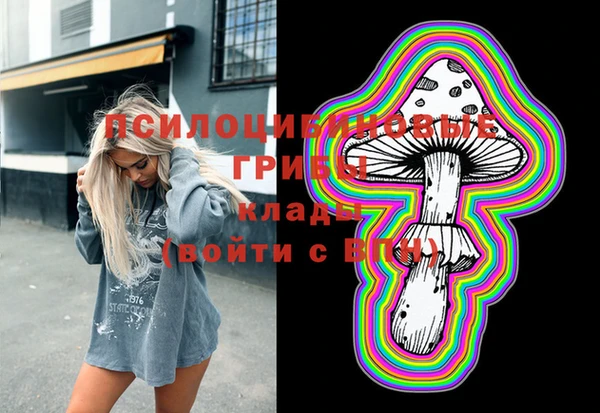 хмурый Няндома