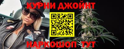сатива Дубна