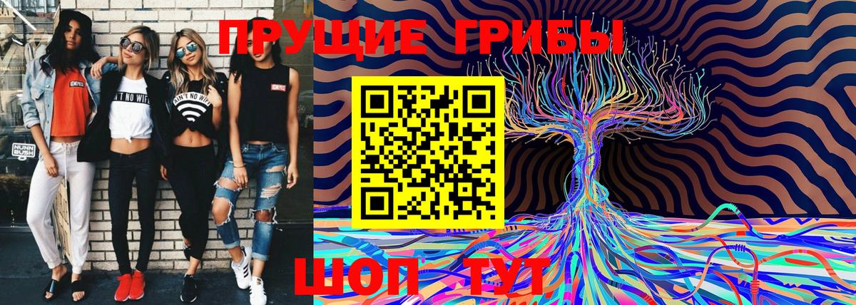 Псилоцибиновые грибы прущие грибы  Конаково  Псилоцибиновые грибы мухоморы 