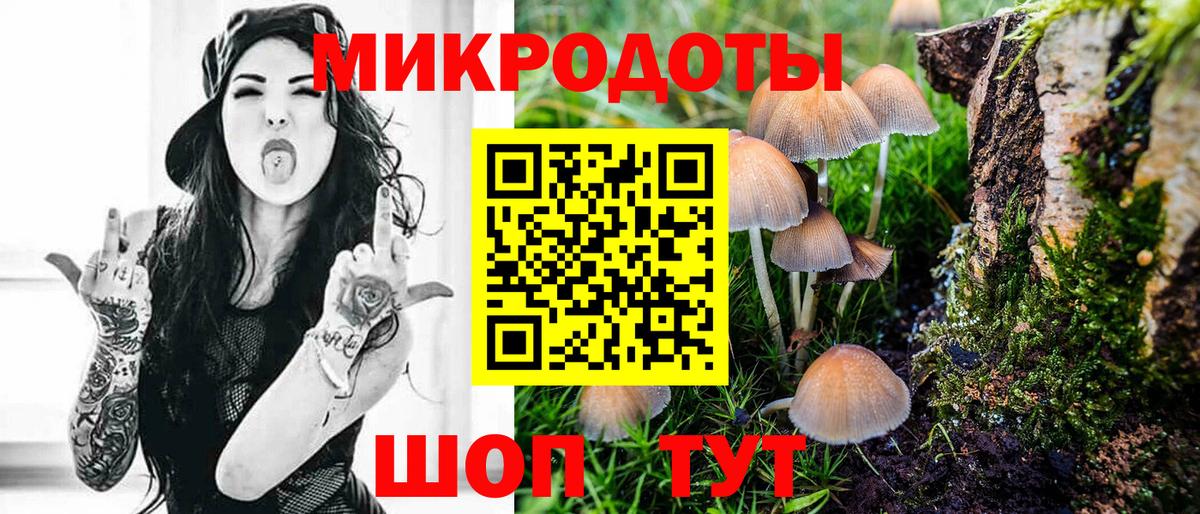 Псилоцибиновые грибы мицелий  Вход с VPN  Конаково 