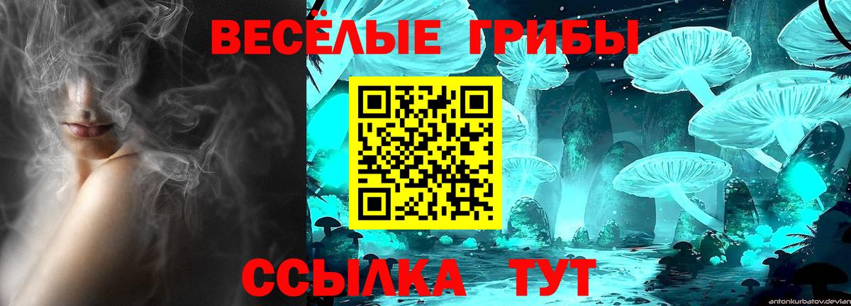 Галлюциногенные грибы MAGIC MUSHROOMS Конаково